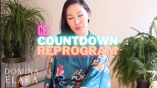 CEI Countdown Reprogram